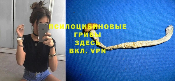 дмт Арсеньев